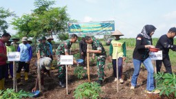 Kodim 0810 Nganjuk Bersama Masyarakat Melaksanakan Penanaman Jagung Di Lahan Seluas 1,5 Ha Untuk Mewujudkan Ketahanan Pangan