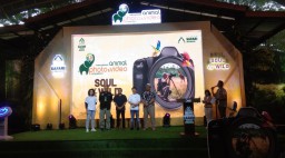 Kompetisi foto Dan video hewan international ke - 33