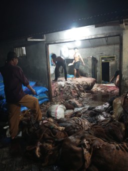 Pengepul kulit tersenyum lebar saat momen Hari Raya idul adha