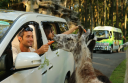 5 Destinasi Wisata Terbaik di Jawa Timur yang Wajib Dikunjungi di Libur Akhir Tahun!