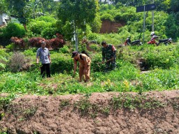 Dalam Rangka Mewujudkan Ketahanan Pangan Babinsa, PPPL, Dan Warga Berkoordinasi Meningkatkan Hasil Panen.