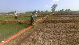 Melalui Program Pompanisasi, Babinsa Koramil 0810/18 Ngetos Terjun Langsung Bantu Petani Mengairi Sawah