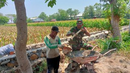 Babinsa Koramil 0810/03 Loceret Melaksanakan Kegiatan Kerja Bakti Pembuatan Saluran Irigasi Bersama Warga Binaan