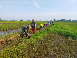Babinsa Turun Langsung Dalam Upaya Mencegahan Banjir Dan Meningkatkan Ketahana Pangan