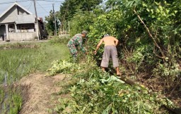 Gotong Royong Babinsa Koramil 0810/15 Rejoso Bersihkan Saluran Irigasi Persawahan