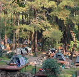 Murah Meriah Bojonegoro Ke Jolotundo Nganjuk Cuman Rp 100 Ribu Perjalanan, Tiket Masuk Hingga Menikmati Fasilitasnya