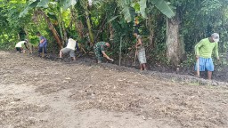 Dukung Kelancaran Air Untuk Persawahan, Babinsa Gotong Royong Bersama Warga Bersihkan Saluran Irigasi