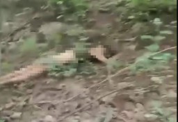 Lansia Perempuan Ditemukan di Hutan Rejoso, Keluarga: Korban Pikun Menghilang Selama 10 Hari