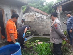 Orang Tua Tidur Siang Balita Kembar di Pace Tewas Tercebur Kolam Ikan di Halaman Rumahnya Sendiri