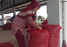 Petani dan Pedagang Keluhkan Harga Bawang Merah Tak Stabil di Musim Penghujan