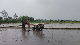 Percepat Masa Tanam, Babinsa Dampingi Petani Bantu Bajak Sawah