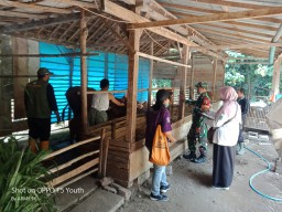 Babinsa Koramil 15 Rejoso Dampingi Petugas Dinas Peternakan Cek Kesehatan Hewan Ternak