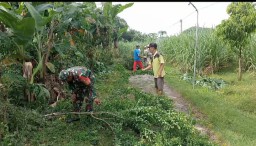 Babinsa Koramil 0810/03 Melaksanakan Kegiatan Kerja Bakti Bersihkan Ranting Dan Pohon