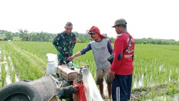 Melalui Mesin Pompa Air, Babinsa Bantu Petani Mengairi Sawah