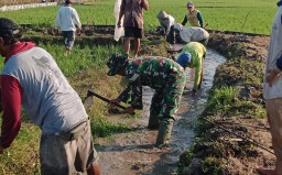 Dukung Kebutuhan Air Babinsa Koramil 0810/15 Rejoso Normalisasi Saluran Irigasi Sawah