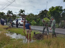 Peduli Lingkungan, Koramil 0810/02 Bagor Bersinergi Dengan MTSN 10 Nganjuk Laksanakan Penghijauan