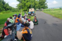 Komsos Babinsa Koramil 0810/15 Rejoso dengan Petani Bawang Merah Desa Sukorejo