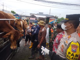 Polisi dengan Disperta Kunjungi Pasar Hewan Kecamatan Bagor, Antisipasi Penyebaran PMK