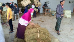 Petani Tembakau dan Masyarakat Dukung Keberadaan Pengusaha Rokok Lokal