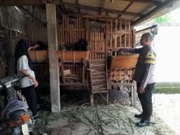 Polisi di Nganjuk Dood To Door Penyuluhan Kesehatan Ternak Pada Warga Ngronggot