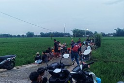 Dari Sawah Biasa Jadi Tempat Ngopi Hits, Destinasi Favorit Anak Muda dengan View Sunset