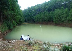 Embung Estumulyo Sawahan, Surga Tersembunyi yang Terlupakan