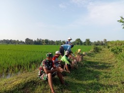 Komsos Babinsa Koramil 0810/08 Baron Ajak Petani Tingkatkan Kualitas Tanaman Padi