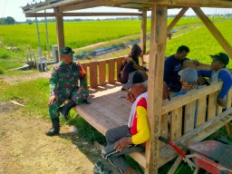 Babinsa Koramil 0810/15 Rejoso Pastikan Bulog Akan Terima Gabah Petani