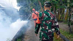 Antisipasi Demam Berdarah, Babinsa Koramil Loceret Dampingi Kegiatan Fogging