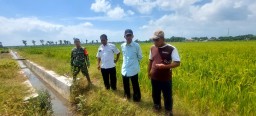 Babinsa Bersama Petugas Dinas Pertanian Tinjau Saluran Irigasi Untuk Mendukung Swasembada Pangan