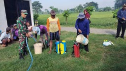 Wujudkan Swasembada Pangan, Babinsa dan PPL Turun Langsung Ke Sawah Dampingi Petani Semprot Hama Padi