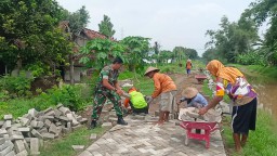 Jalan Licin || Babinsa Koramil 0810/10 Tanjunganom Bantu Warga Perbaiki Jalan