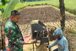 Misi Babinsa || Pertanian Desa Suru Semakin Maju Perekonomian Warga Meningkat
