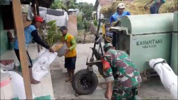 Demi Lancarnya Bulog Serap Gabah Babinsa Koramil Ngronggot Terus Dampingi Petani