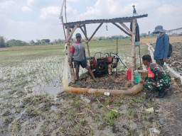 Babinsa Koramil 0810/13 Lengkong Bersama PPL Berikan Sosialisasi Kepada Petani Desa Sumberkepuh 