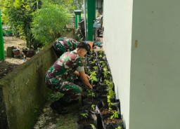 Anggota Koramil 0810/19 Jatikalen Tanam Cabai Manfaatkan Lahan Sempit Pekarangan Makoramil 