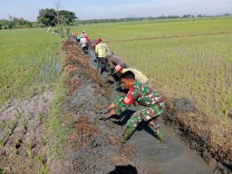 Babinsa Koramil 14/Gondang Terjun Langsung Gotong Royong Bersihkan Saluran Air Untuk Irigasi Persawahan