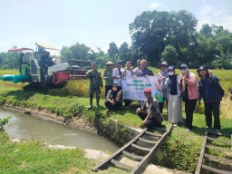 Dukung Program Pemerintah Babinsa Setia Mengawal Gabah Petani Sampai Ke Bulog