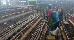 Babinsa Koramil 0810/01 Nganjuk Aktif Komunikasi Sosial Dengan Peternak Ayam