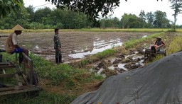 Motivasi Babinsa Sangat Penting Untuk Para Petani Dalam Mengolah Sawah
