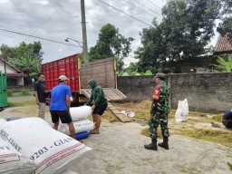 Sinergi Babinsa Bersama Petani || Babinsa Gebangkerep Dorong Petani Jual Gabah Ke BULOG