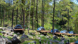 Jangan Tersesat! Ini Jam Buka Jolotundo Glamping &amp; Edu Park Lengkap Rute Dari Alun-alun Nganjuk