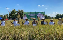 Panen Raya Padi Serentak di 14 Provinsi, Kasdim Nganjuk dan Forkompinda Ikuti Vicon Bersama Presiden RI