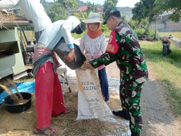 Dukung Ketahanan Pangan, Babinsa Koramil 0810/20 Ngluyu Dampingi Petani Dalam Serapan Gabah