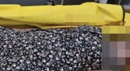 Dalam Tiga Hari, Dua Ibu Rumah Tangga Tewas dalam Kecelakaan di Nganjuk