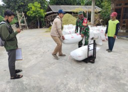 Babinsa Dukung Program Sergab Guna Wujudkan Swasembada Pangan Nasional