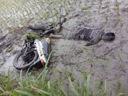 Pengendara Motor di Nganjuk Mengalami Luka-luka Setelah Kecelakaan Masuk Sawah, Begini Kronologisnya