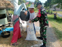 Dukung Ketahanan Pangan, Babinsa Koramil 0810/20 Ngluyu Dampingi Petani Panen Padi