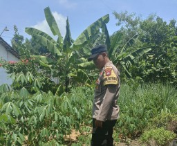 Polres Nganjuk Dukung Ketahanan Pangan Nasional, Pantau Lahan Pekarangan Wargay