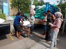 Masih Dalam Suasana Hari Raya Idul Fitri Babinsa Koramil 15 Rejoso Tetap Semangat Dampingi Bulog Serap Hasil Panen Petani